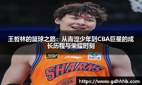 ac米兰体育平台